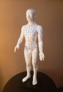 Acupuncture figure front