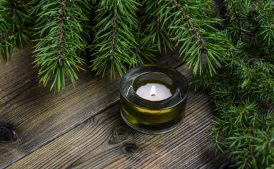 Candle and Pine Branches